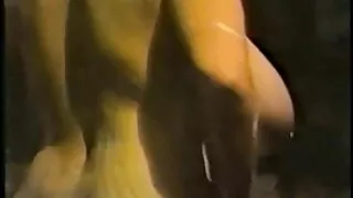 Tehtud Cunnilingus enne hardcore anal copulation koos Blond Kell Vel