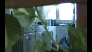 Ta alandas oma aluspüksid ja Andis perse Innukas tüdruk